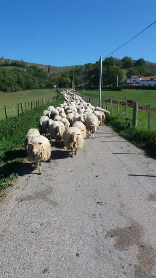 Gite A La Ferme Larranda Suhescun Zewnętrze zdjęcie