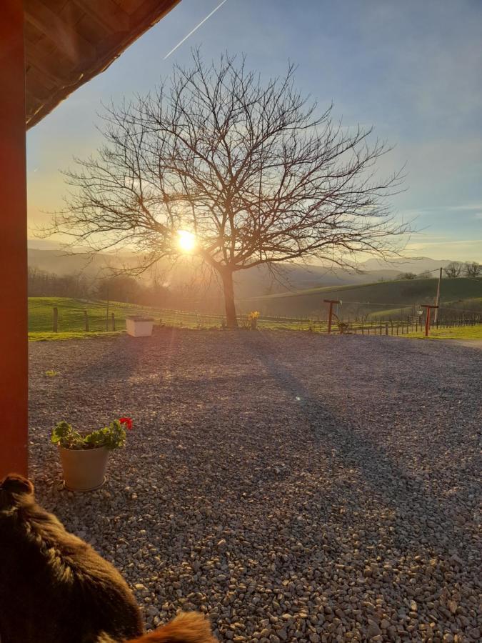 Gite A La Ferme Larranda Suhescun Zewnętrze zdjęcie